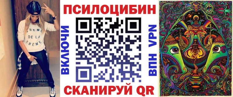блэк спрут онион  Ак-Довурак  Галлюциногенные грибы Psilocybine cubensis 